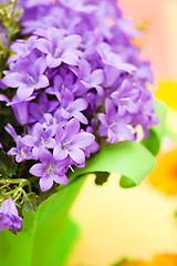 Image showing campanula blue a close up