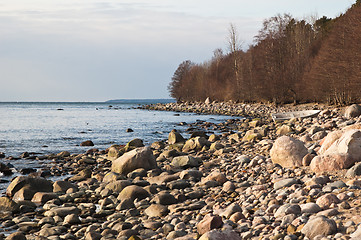 Image showing Stony coast of Baltic sea