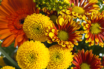 Image showing a bouquet of summer flowers, close-up 