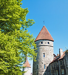 Image showing Towers of a fortification of Old Tallinn