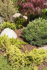 Image showing corner of the garden in Japanese style