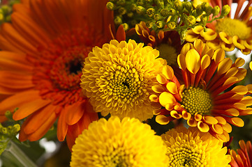 Image showing a bouquet of summer flowers, close-up 