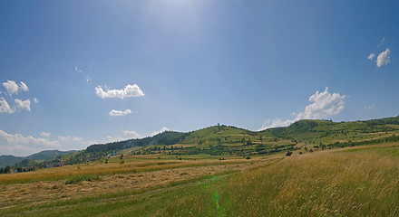 Image showing summer landscape