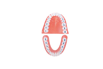 Image showing teeth illustration