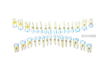 Image showing teeth illustration