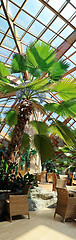 Image showing tropical restaurant indoor