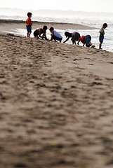 Image showing fun at beach