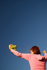 Image showing girl with grape outdoor