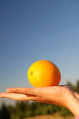 Image showing female hand balancing iorange in air