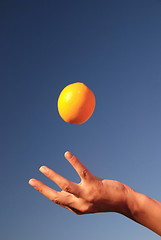 Image showing female hand balancing iorange in air