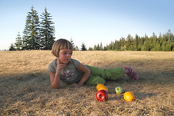 Image showing healthy picnic