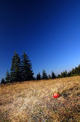 Image showing happy girl running