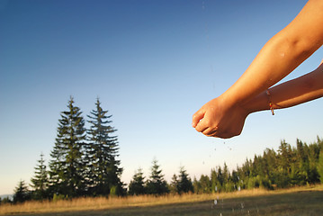 Image showing fresh water falling on children hands