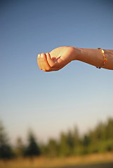 Image showing fresh water falling on children hands