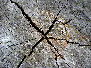 Image showing Wooden dark background