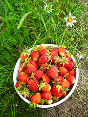 Image showing Bucket with a strawberry