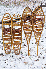 Image showing Bear Paw and Huron snowshoes