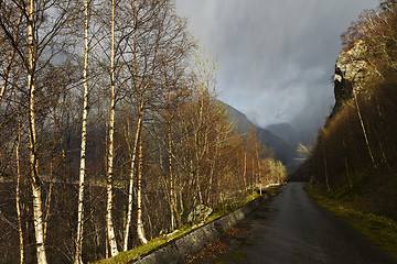 Image showing run-down road in rural landscape