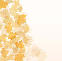Image showing Beautiful autumn background with maple leaves