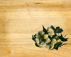 Image showing fence weathered wood background