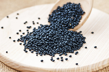 Image showing Beluga lentils