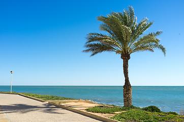 Image showing Mediterranean promenade