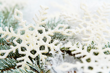 Image showing Snowy spruce branches