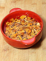 Image showing yellow mushrooms in red bowl