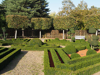 Image showing French garden in fall, anjou, France