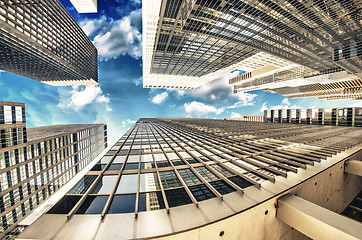 Image showing Skyscrapers bask in sunlight