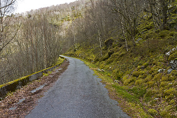 Image showing run-down road in rural landscape