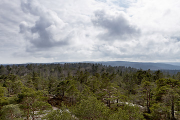 Image showing view over forest with cloudy sky