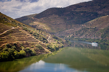 Image showing Vineyards of the Douro Valley, Portugal