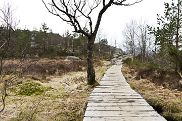 Image showing wooden foot path in rural landscape