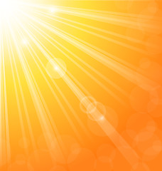 Image showing Abstract background with sun light rays