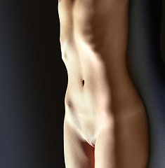 Image showing belly of nude young woman ion