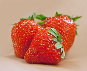 Image showing Fresh strawberry l