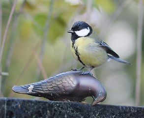 Image showing Great Tit 