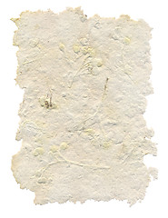 Image showing Handmade paper with leaves and flowers inside