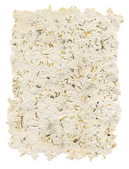 Image showing Handmade paper with seeds and petals inside