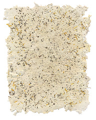 Image showing Handmade paper with petals and parts of salvia inside