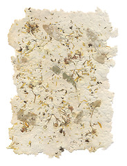 Image showing Handmade paper with leaves and flowers inside