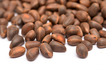 Image showing cedar nuts