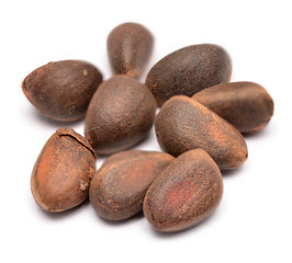 Image showing cedar nuts