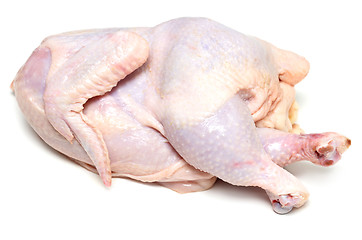 Image showing raw chicken 