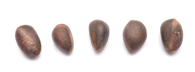 Image showing cedar nuts