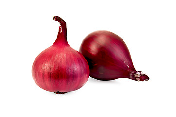 Image showing Onion purple