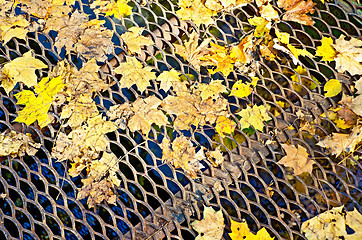 Image showing Maple leaves on a lattice bridge