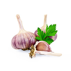 Image showing Garlic with parsley leaf