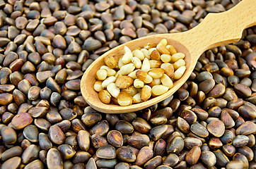 Image showing Cedar nuts in a spoon